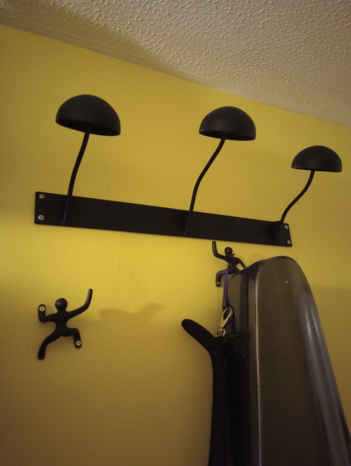 Hat Mushrooms